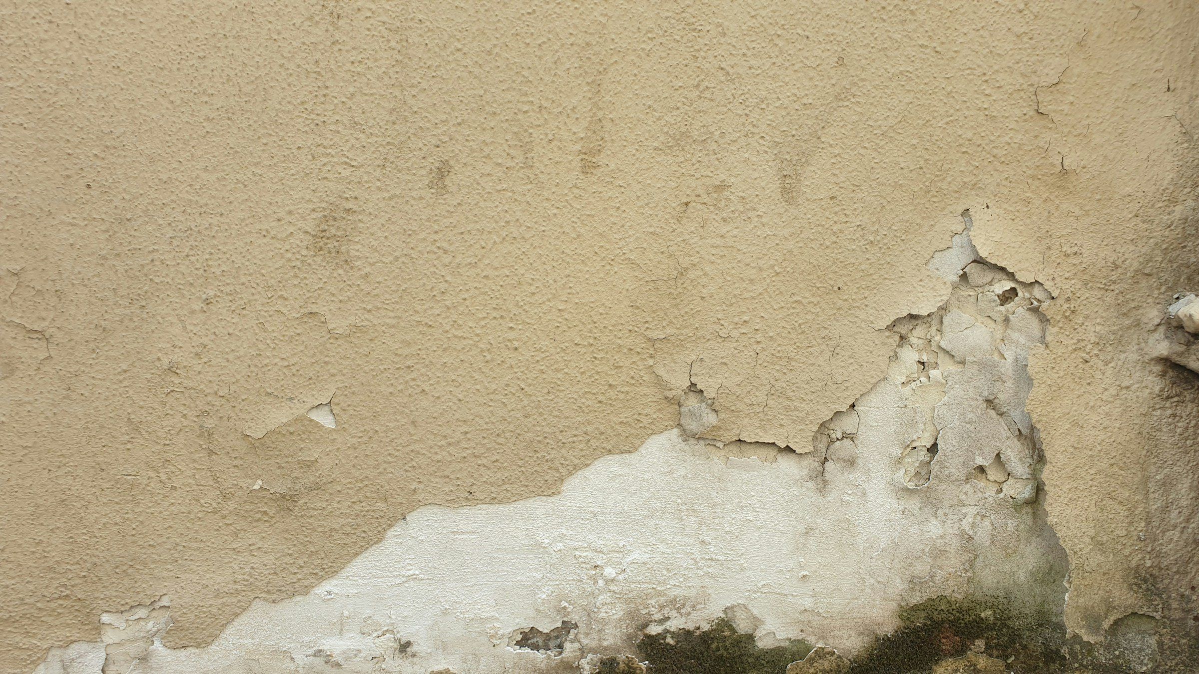 Feuchte Wand mit abblätternder Farbe und dunklem Befall am Sockel